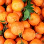 mandarins