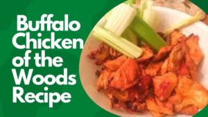 Buffalo Chicken of the Woods Recipe