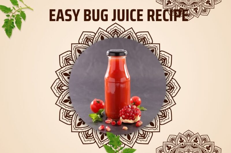 Easy Bug Juice Recipe