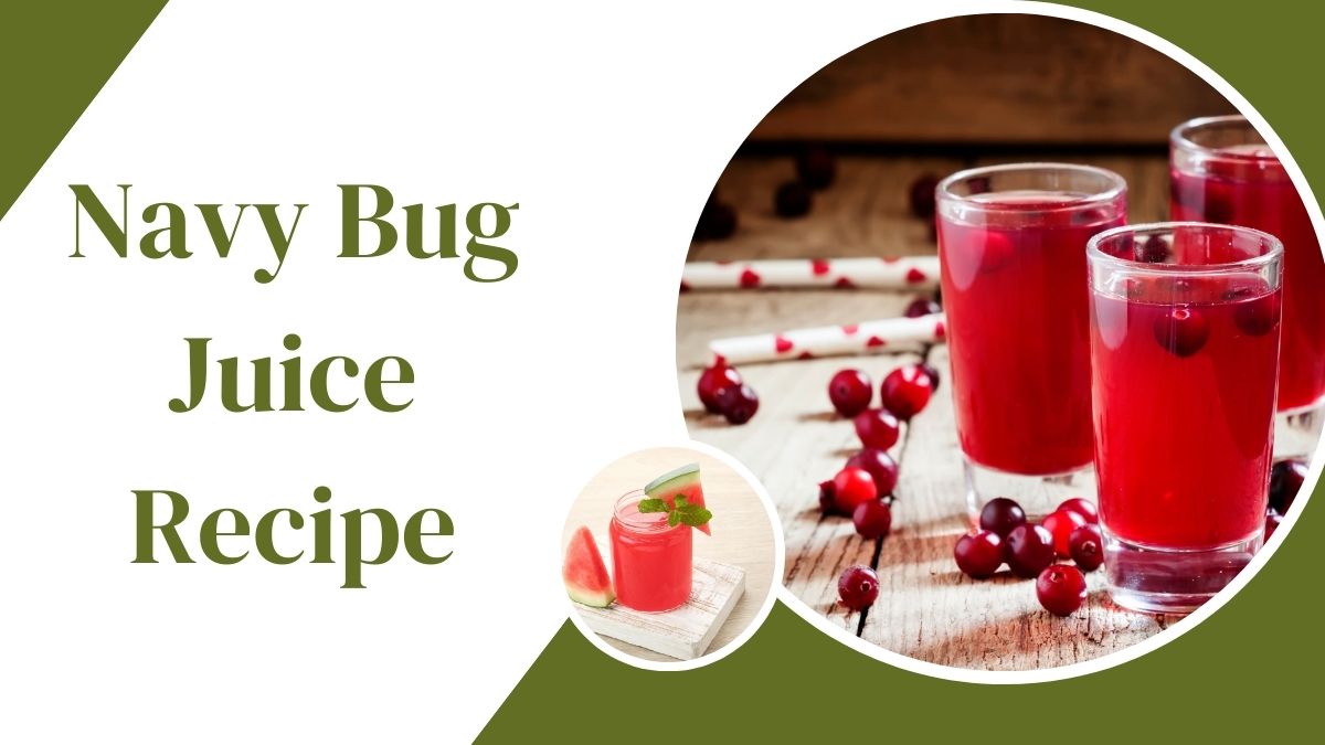 Navy Bug Juice Recipe